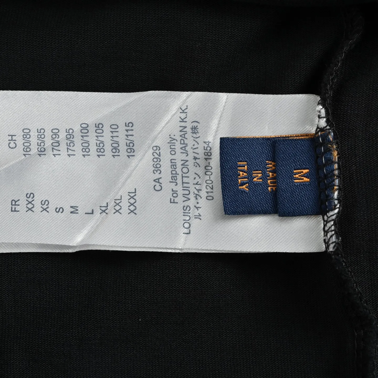 Louis Vuitton/ 26ss logo